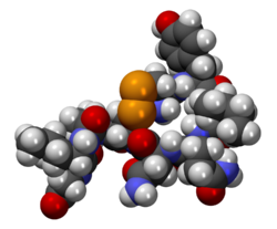250px-OxitocinaCPK3D